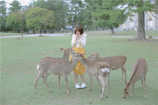 萤火直播app下载安装无限看：一款年轻人都应该必备的手机掌上直播app