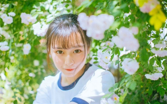 向日葵app官方最新下载；一款超多人都在用的免费视频播放app