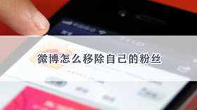 微博如何移除自己的粉丝 微博移除粉丝的方法