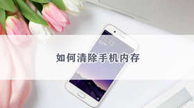 安卓手机如何释放内存 安卓手机释放内存方法